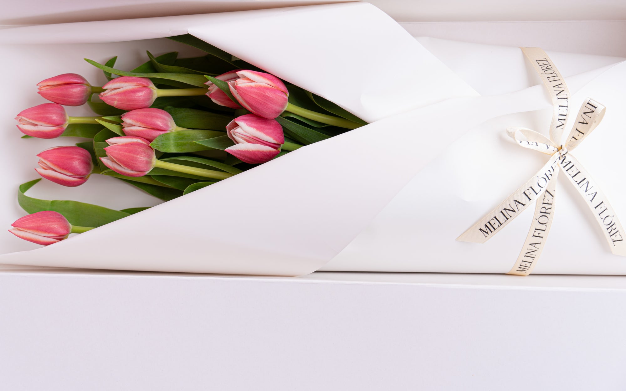 Gabbie Tulips
